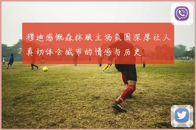 穆迪感慨森林狼主场氛围深厚让人真切体会城市的情感与历史