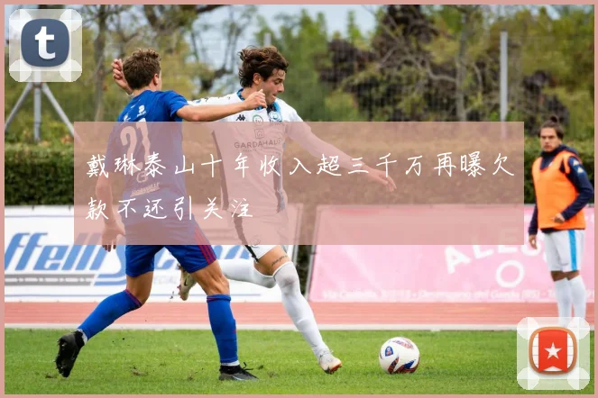 戴琳泰山十年收入超三千万再曝欠款不还引关注