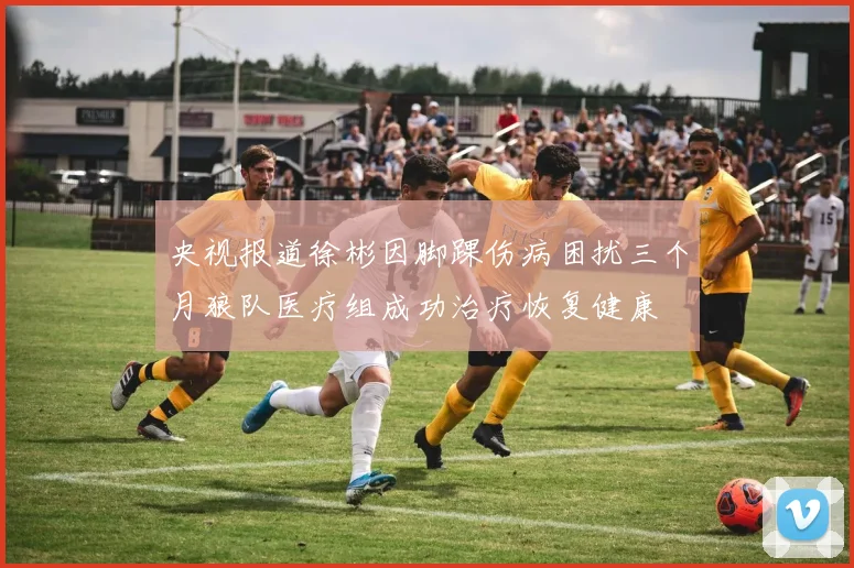 央视报道徐彬因脚踝伤病困扰三个月狼队医疗组成功治疗恢复健康